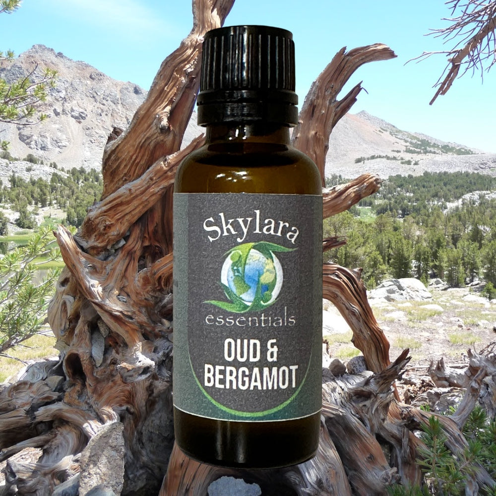 All Natural Oud & Bergamot Essential Oil Blend – Skylara Essentials